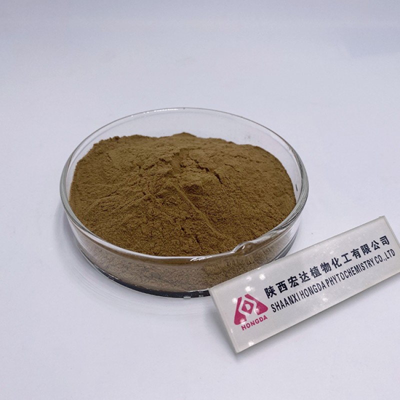 Lactobacillus Rhamnosus Manufacturer - Food Grade Probiotics