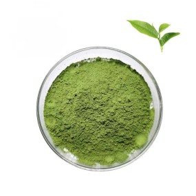 Matcha Powder Factory - Bulk Organic Green Tea