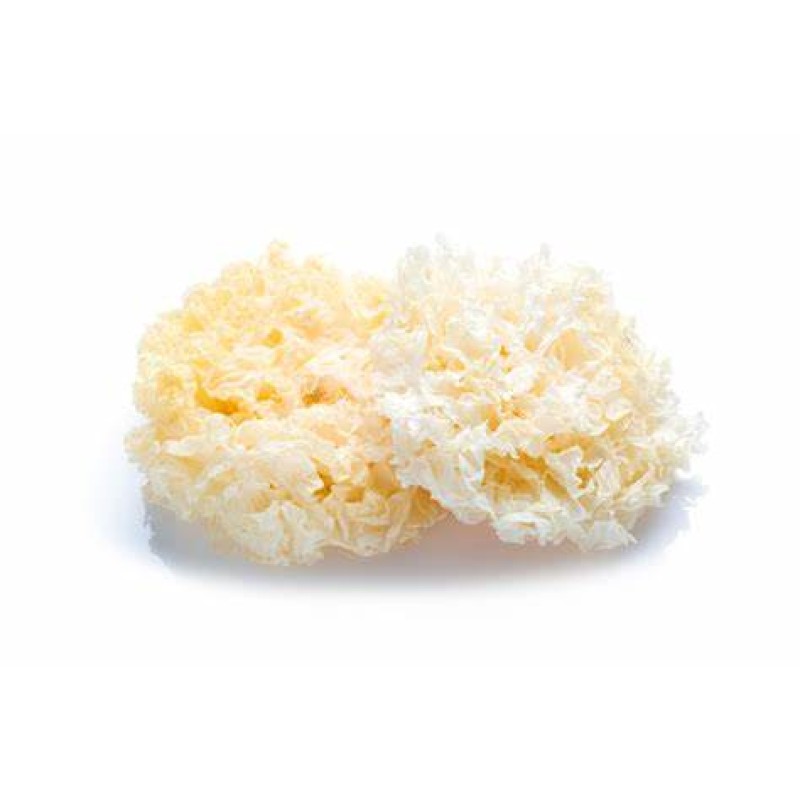 Tremella Extract Supplier - Mushroom Powder Polysaccharide