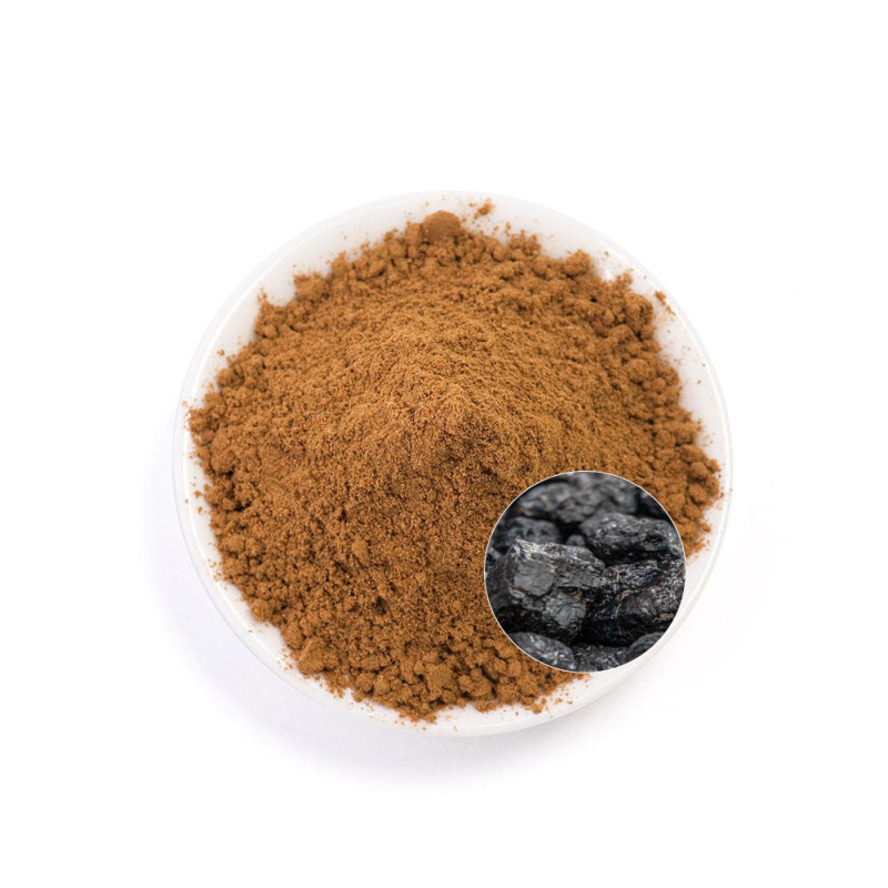 Shilajit Powder Factory - Natural Resin Capsules