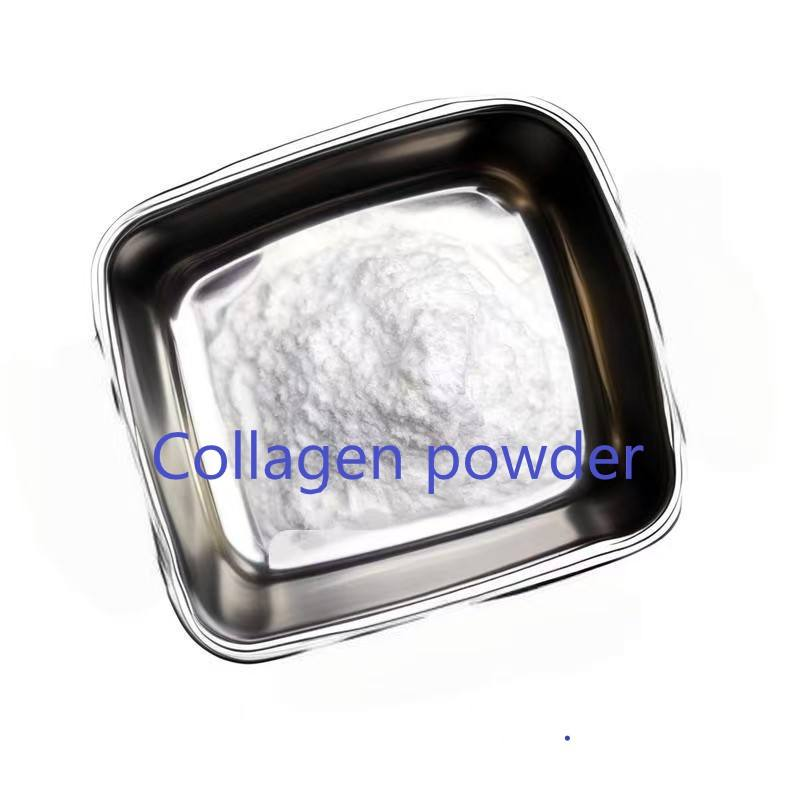 Collagen Powder Manufacturer - 100% Pure Protein Supplement