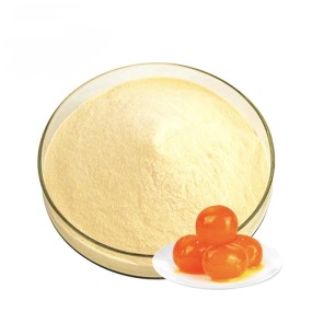 Egg Yolk Powder Manufacturer - Hydrolysed Food Grade