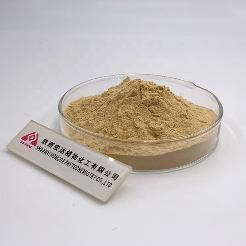 Grapefruit Extract Supplier - 98% Naringin Powder