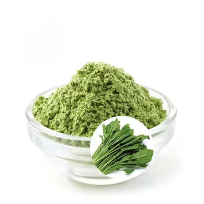 Red Spinach Extract Supplier - 10:1 Freeze Dried Powder