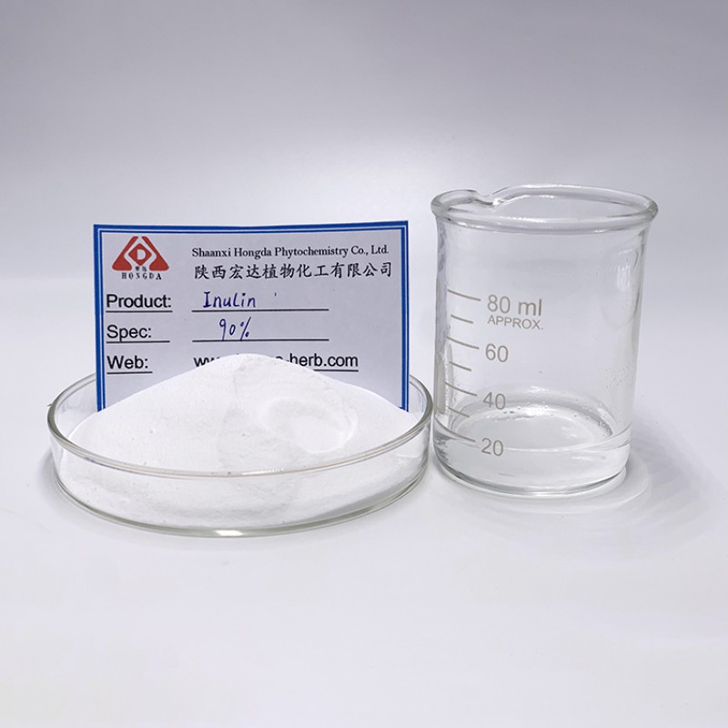 Inulin Powder Manufacturer - 90% Chicory Root Extract