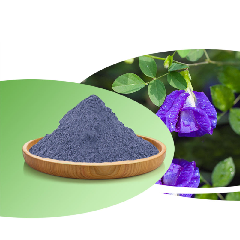 Blue Butterfly Pea Powder Factory - Organic High Quality