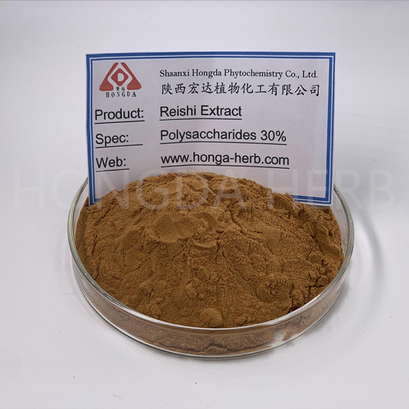Reishi Mushroom Powder Manufacturer - Ganoderma Extract