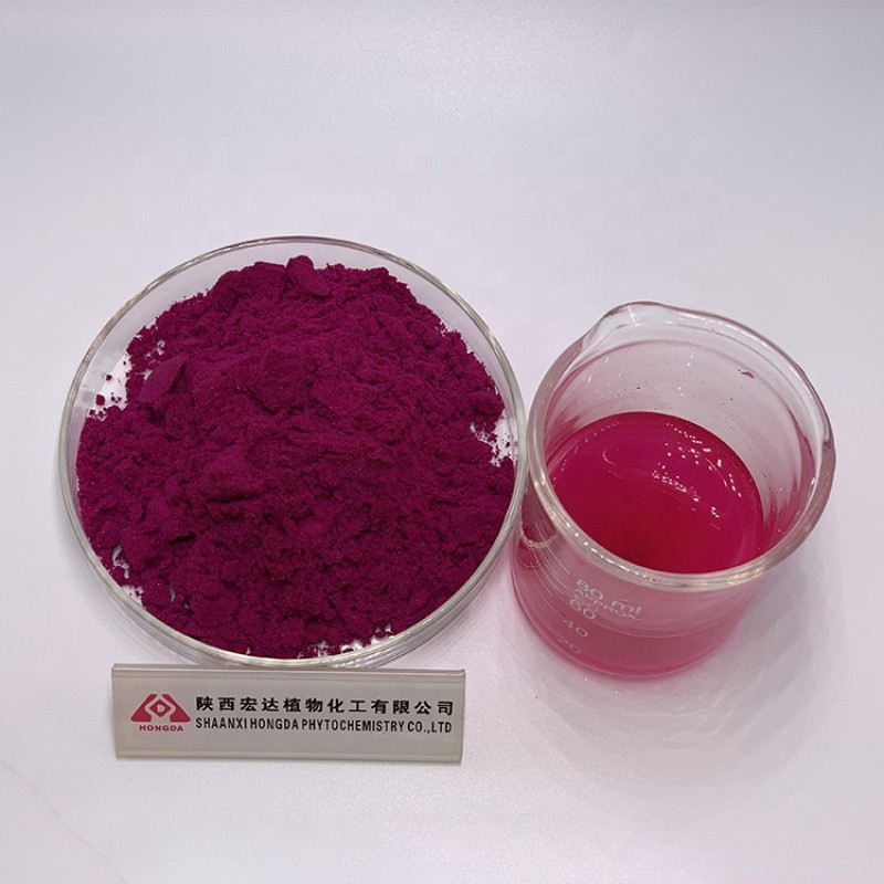 Dragon Fruit Powder Factory - Juice Extract Hot Sales