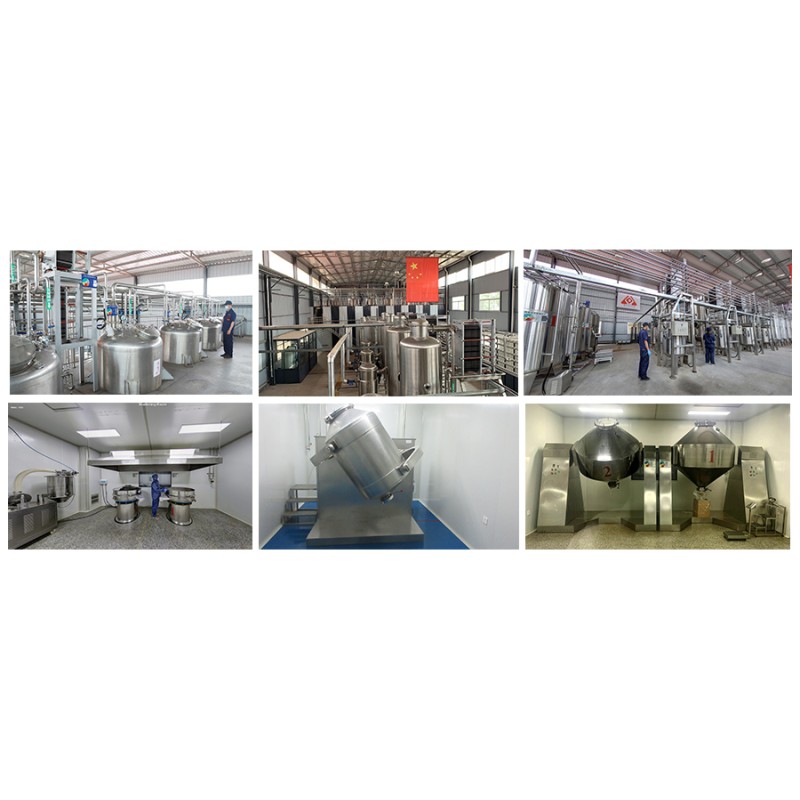 Sophora Japonica Extract Manufacturer - 95% Rutin Powder