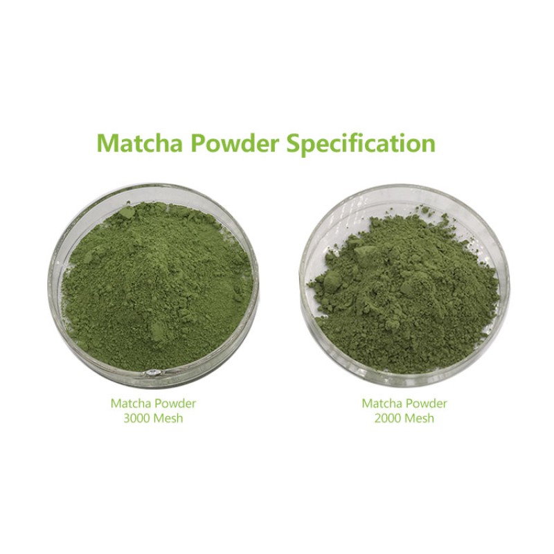 Matcha Tea Powder Manufacturer - Bread Drinks Organic