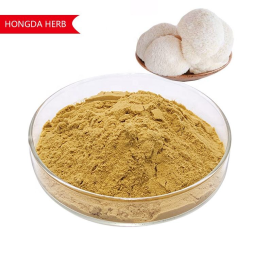 Lion's Mane Powder Supplier - Organic Mushroom Extract