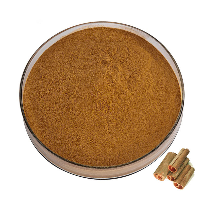 Cinnamon Powder Manufacturer - Organic Extract Bulk