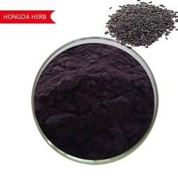 Black Ant Extract Supplier - Powder Custom Packaging