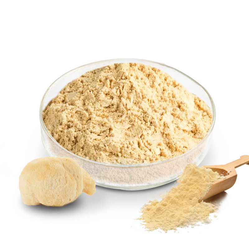 Hericium Erinaceus Powder Factory - 10:1 Mushroom Extract