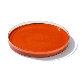 Sodium Copper Chlorophyllin Factory - Water Soluble Powder