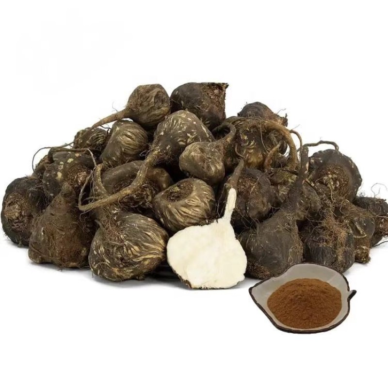 Black Maca Extract Manufacturer - Root Powder Capsules