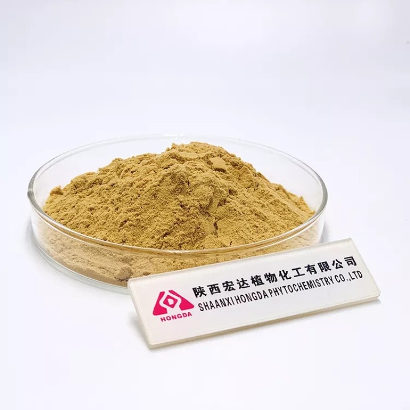 Lion's Mane Extract Factory - Custom Packaging OEM
