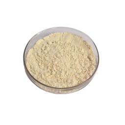 Oat Protein Powder Manufacturer - Beta-Glucan Supplement