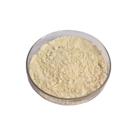 Oat Protein Powder Manufacturer - Beta-Glucan Supplement