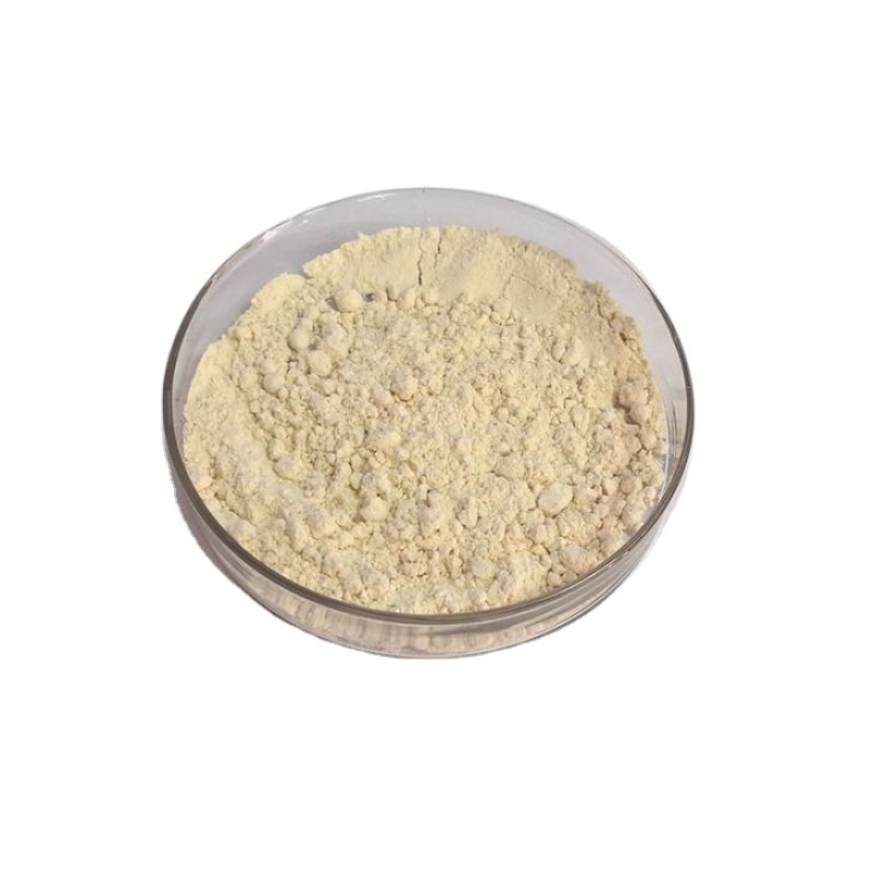 Oat Protein Powder Manufacturer - Beta-Glucan Supplement