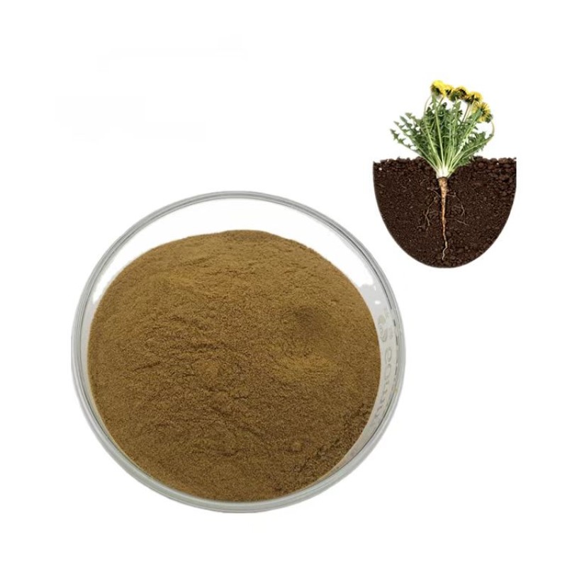 Dandelion Root Extract Factory - 5% Flavonoids Bulk