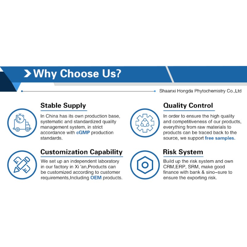 Vitamin A Palmitate Factory - 1