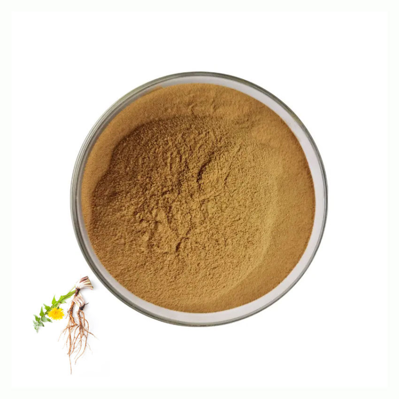 Dandelion Root Extract Factory - 5% Flavonoids Bulk