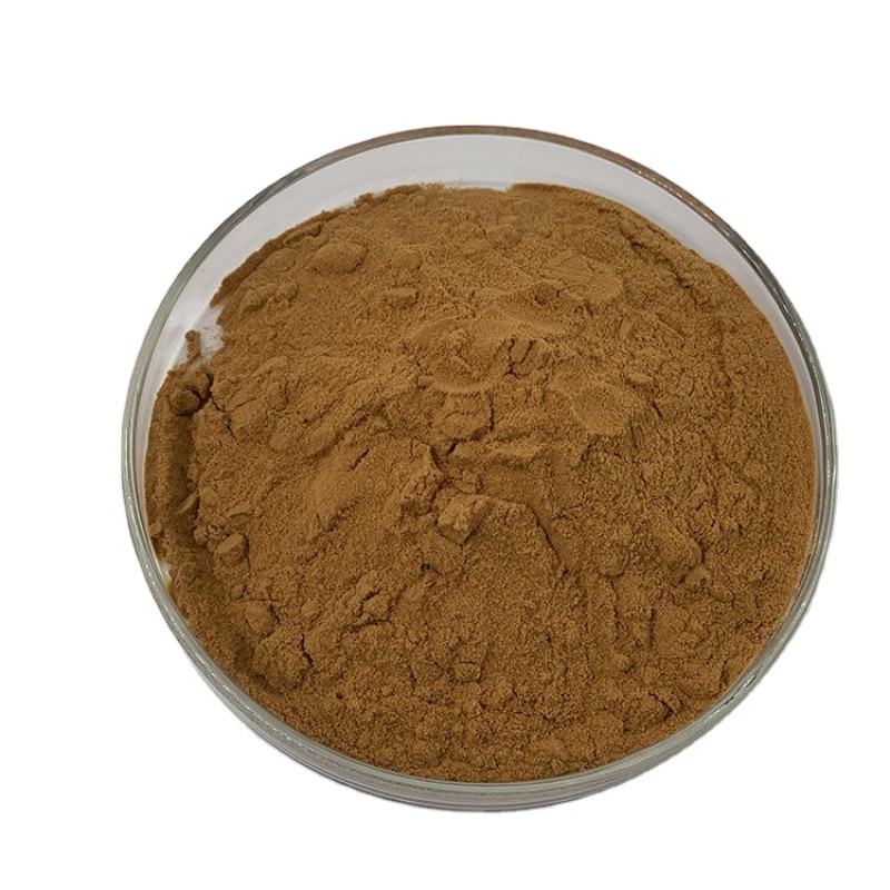 Turkey Tail Mushroom Supplier - Extract Powder Chaga