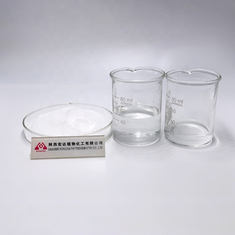 Inulin Powder Manufacturer - 90% Chicory Root Extract