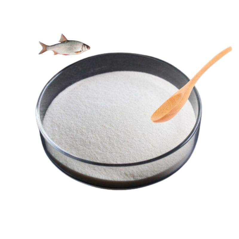 Fish Collagen Powder Factory - 98% Peptide Scales