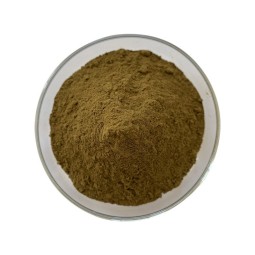 Turkesterone Powder Supplier - 2% Herbal Extract OEM