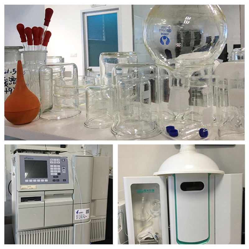 Thaumatin Powder Supplier - Sweetener CAS 53850-34-3