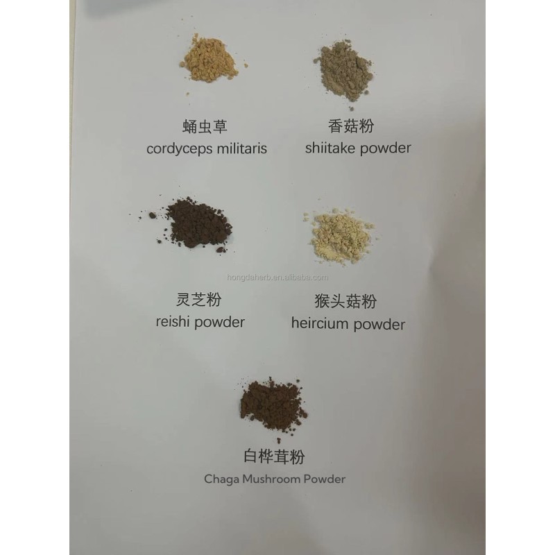 Lion's Mane Extract Factory - Custom Packaging OEM