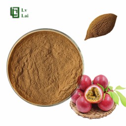 Passion Fruit Powder Factory - Juice Concentrate OEM Service