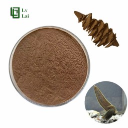 Leech Powder Supplier - Medicinal Extract Powder Custom