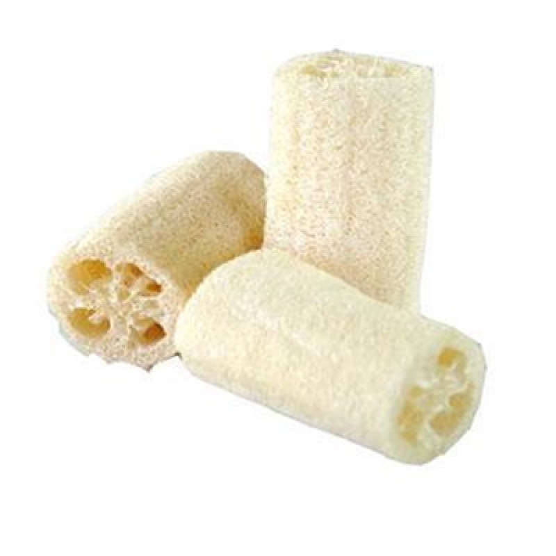 Loofah Sponge Powder Factory - Natural Extract Water Soluble