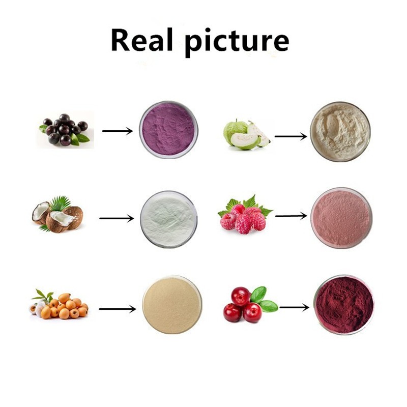 Passion Fruit Powder Factory - Juice Concentrate OEM Service