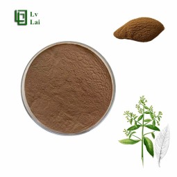 Blumea Extract Factory - Aroma Herbal Extract Natural