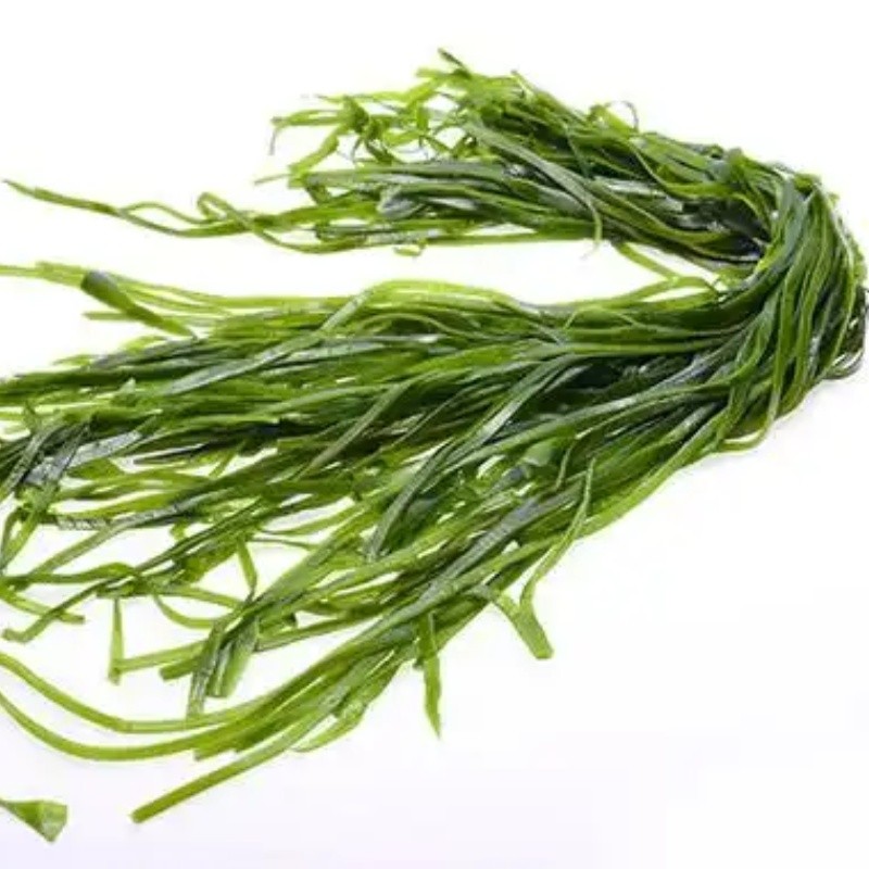 Spirulina Peptide Factory - Hydrolyzed Protein Oligopeptide