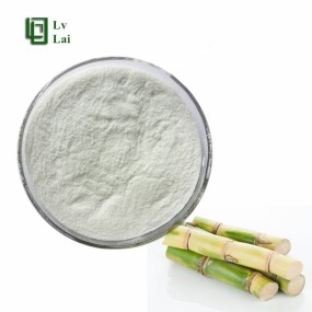 Sugar Cane Powder Supplier - Fruit Juice Powder Natural