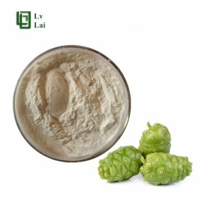 Noni Powder Factory - Private Label OEM Custom Service