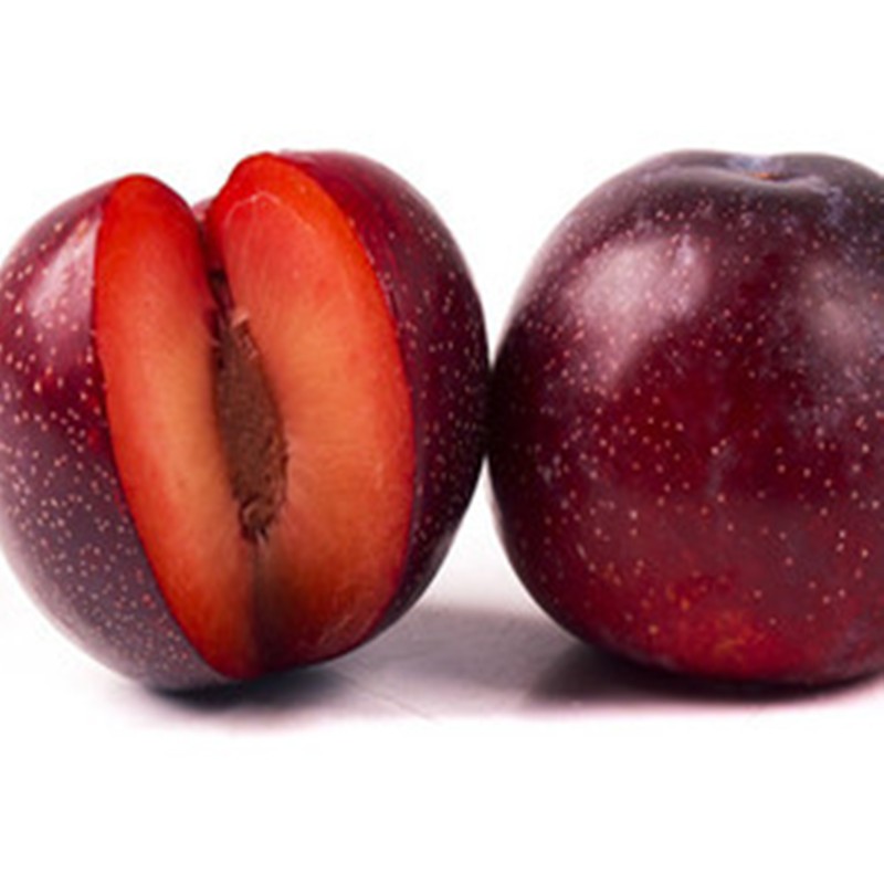 Black Plum Powder Factory - Fruit Juice Concentrate Hot Sales