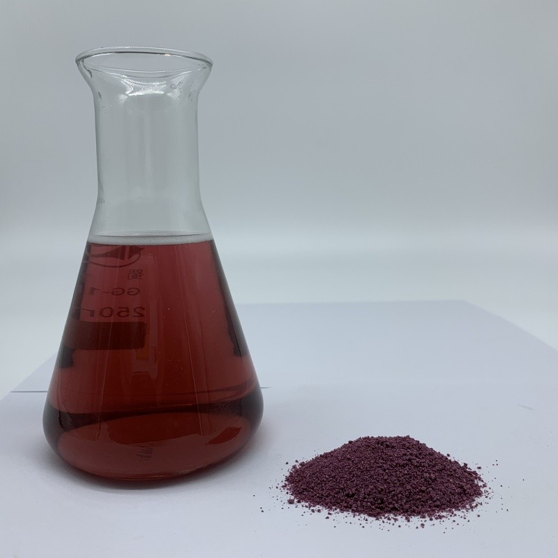 Black Plum Powder Factory - Fruit Juice Concentrate Hot Sales