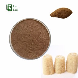 Loofah Sponge Powder Factory - Natural Extract Water Soluble