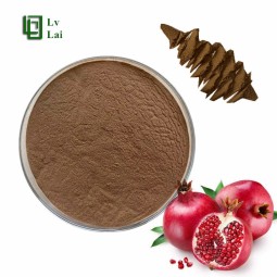 Pomegranate Powder Factory - Extract Water Soluble Wholesale