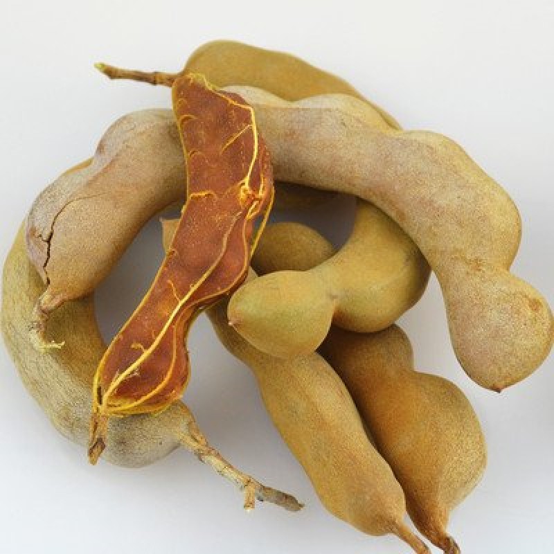 Tamarind Powder Supplier - Fruit Extract Water Soluble OEM