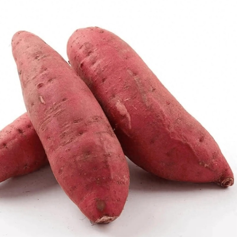 Sweet Potato Fiber Manufacturer - Pink Potato Powder Wholesale