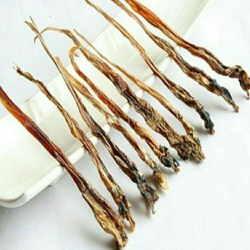 Snake Whip Powder Supplier - Medicated Extract Bulk Custom