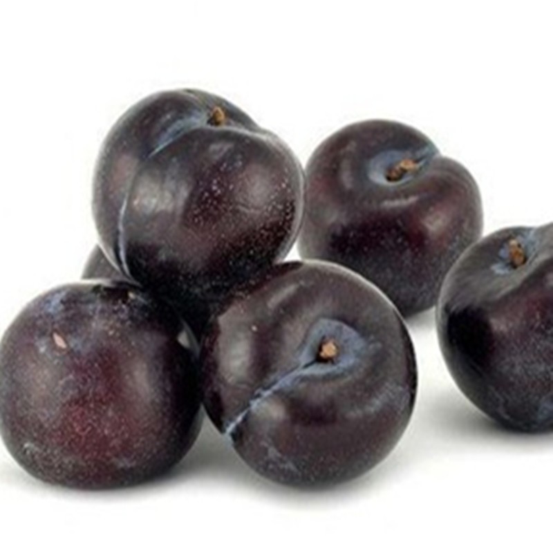 Black Plum Powder Factory - Fruit Juice Concentrate Hot Sales