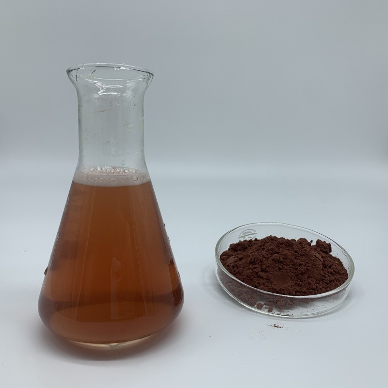 Tamarind Powder Supplier - Fruit Extract Water Soluble OEM